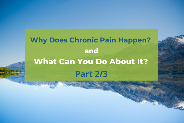 What Causes Chronic Pain & What Can You Do About It? Part 2