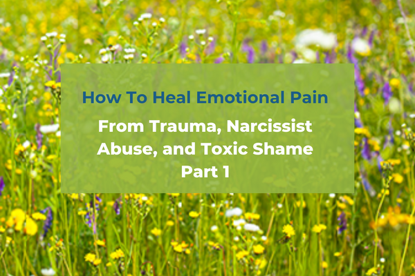 How To Heal Emotional Pain From Trauma, Narcissist Abuse, and Toxic Shame: Part 1