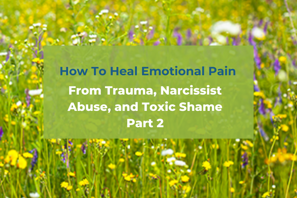 How To Heal Emotional Pain From Trauma, Narcissist Abuse, and Toxic Shame: Part 2
